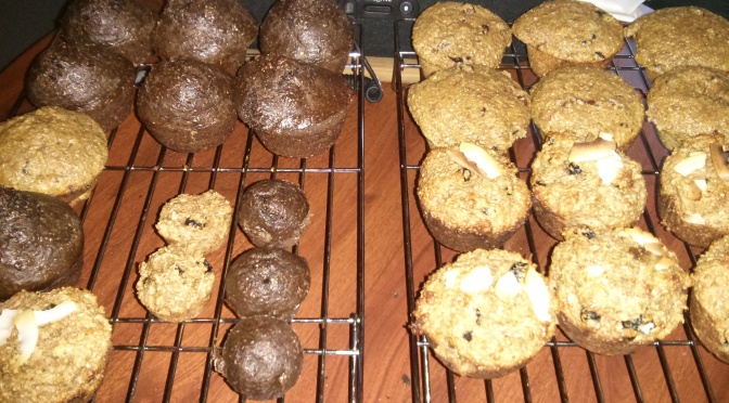 Blueberry Coconut Bran Muffins a personal favorite
